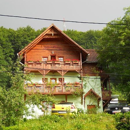 Vila Anna Sovata Exterior photo