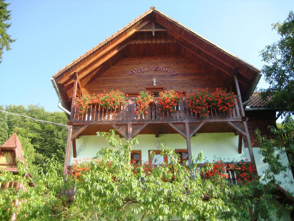 Vila Anna Sovata Exterior photo