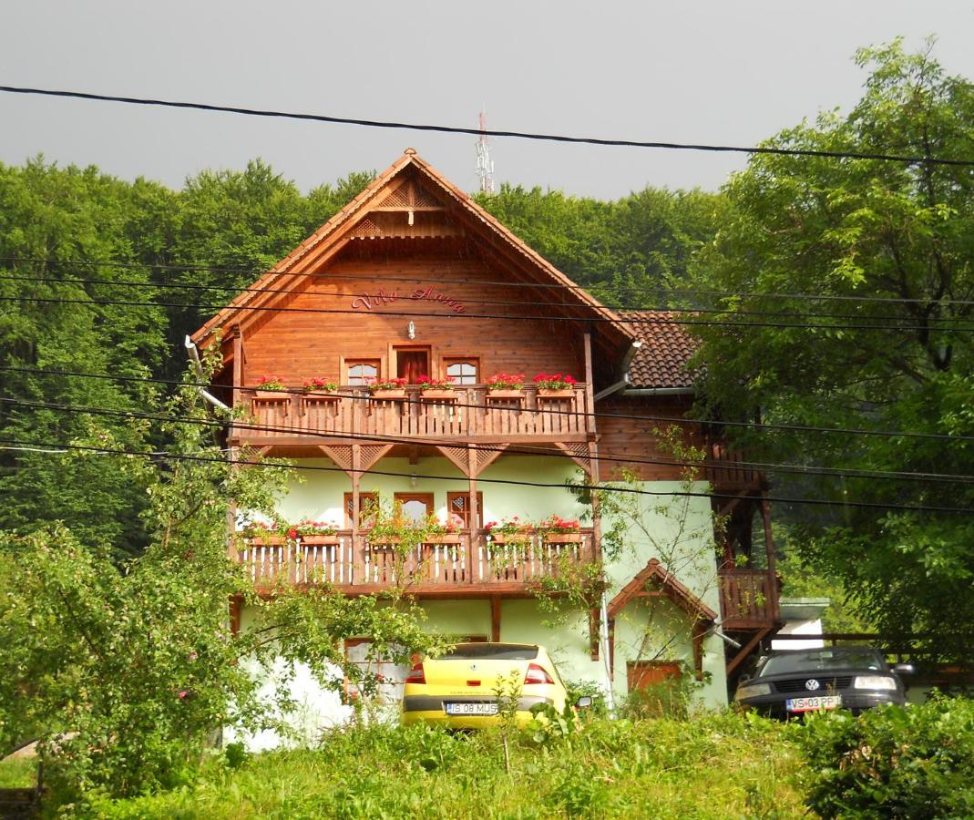 Vila Anna Sovata Exterior photo