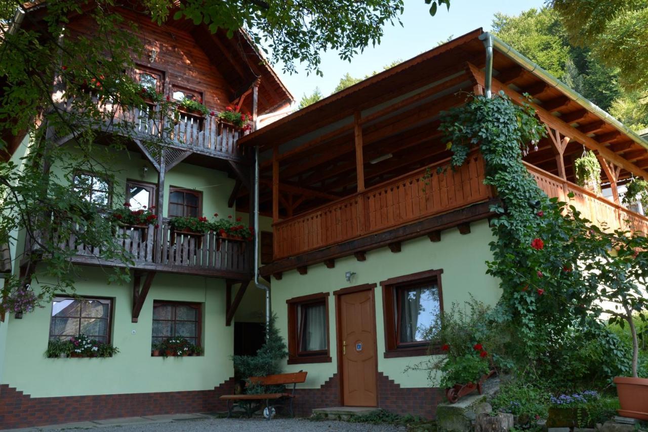 Vila Anna Sovata Exterior photo