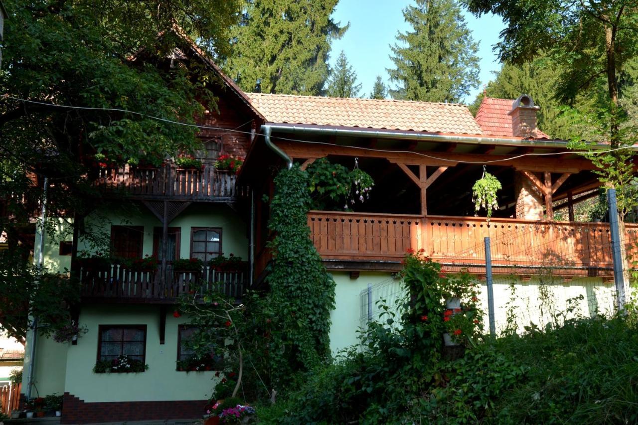 Vila Anna Sovata Exterior photo